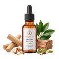 Santal Élixir · Aceite Perfumado 30 ml con sándalo, cardamomo y cedro